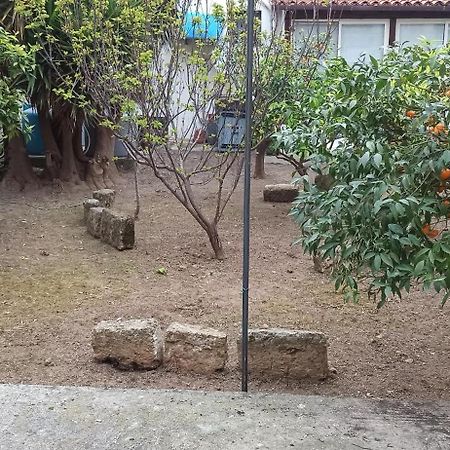 Jujube Hortus Apartment 4 Palermo Exterior photo