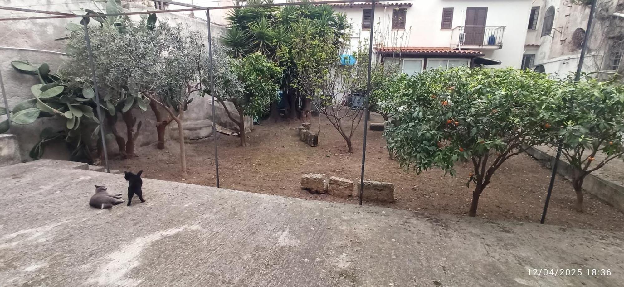 Jujube Hortus Apartment 4 Palermo Exterior photo